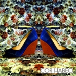 corhabeo-pumps-ss2013_marine-hydrophobic